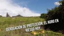 Repeal of Protection: Agriculture at Risk Today - TvAgro by Juan Gonzalo Angel