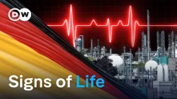 Is Germany's Economy finally recovering? | DW News