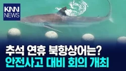 Authorities Hold Safety Meeting Ahead of Holidays Regarding Shark in Busan North Port / KNN