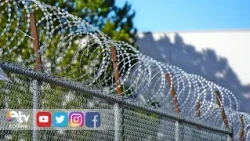 14 IRREGULAR MIGRANTS WERE CAUGHT IN EDİRNE AND KIRKLARELİ.