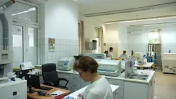 Egyheted – magazinműsor – 2026.09.24.– Csütörtök – SopronTV
