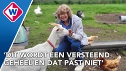 Bertha verzet zich tegen woningbouw op dierenweide