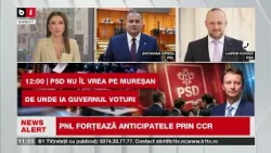 Lavrin COVACI, PSD și Octavian OPREA, PNL, Mureșan pică, PNL pregătește atacul la CCR