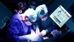 Travelers of New Life | The Story of Ayşe Oprukçu | September 24, 2026