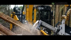 Work in Wakayama! Company Guide: Takegami Lumber Co., Ltd.