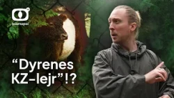 Sabotage af naturpark: Derfor er dyrehegn blevet angrebet igen og igen | Naturnationalpark Gribskov