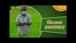 Kisan Samachar: Latest News of Agriculture | DD Kisan | September 22, 2026