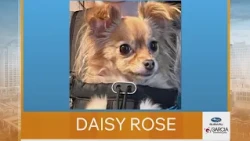 New Mexico Living Pet Pics September 28, 2026