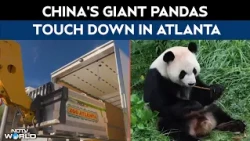 WATCH: China's Giant Pandas Touch Down in Atlanta in Special FedEx Jet