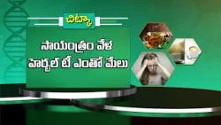 సాయంత్రం వేళ హెర్బల్ టీ ఎంతో మేలు | Herbal tea can be beneficial in the evening | Sukhibhava