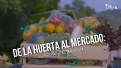 From Farm to Market: The Organic Business - TvAgro by Juan Gonzalo Angel