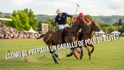 How is an ELITE Polo Horse prepared? (Secrets and Well-being) - TvAgro by Juan Gonzalo Angel