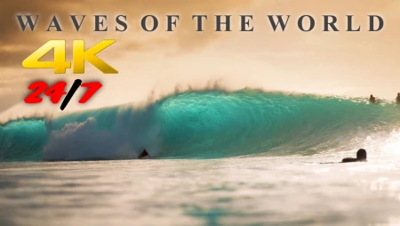 Big Waves Live from Tahiti and Hawaii
