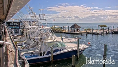 Islamorada Charter Boats Live in Florida Keys