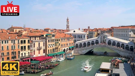Venice Rialto Bridge Live from Palazzo Bembo